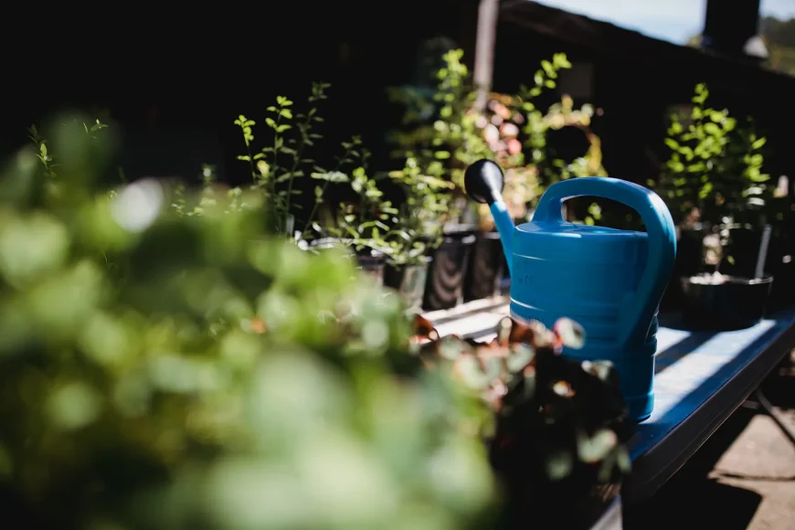 BAC-Online-planten-water-geven.jpg