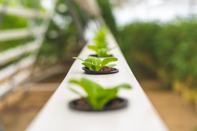 how to raise ph in soil plants