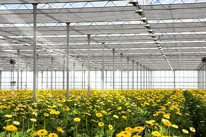 how to mix nutrients for hydroponics greenhouse