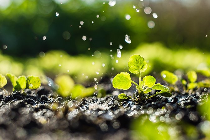 how to lower ph in soil
