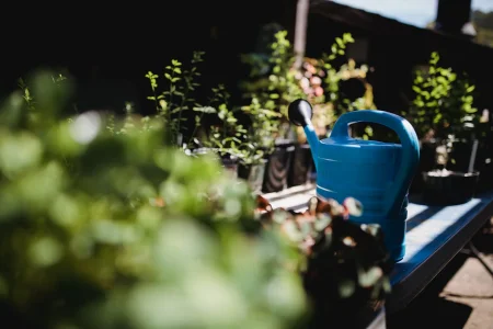 BAC-Online-planten-water-geven.jpg